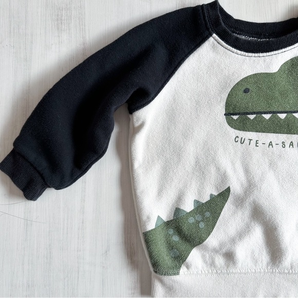 Carter’s dinosaur outfit (size 12-18 months) - Picture 3 of 8